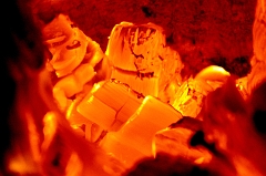 Woodstove 3 